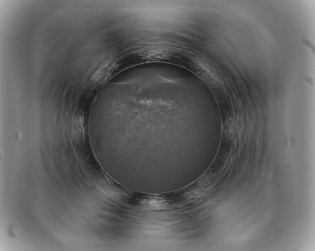 X0000091290506200708171348