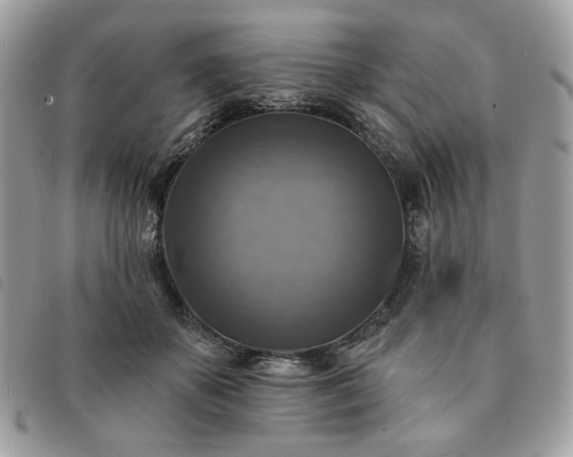 X0000091290507200708171348