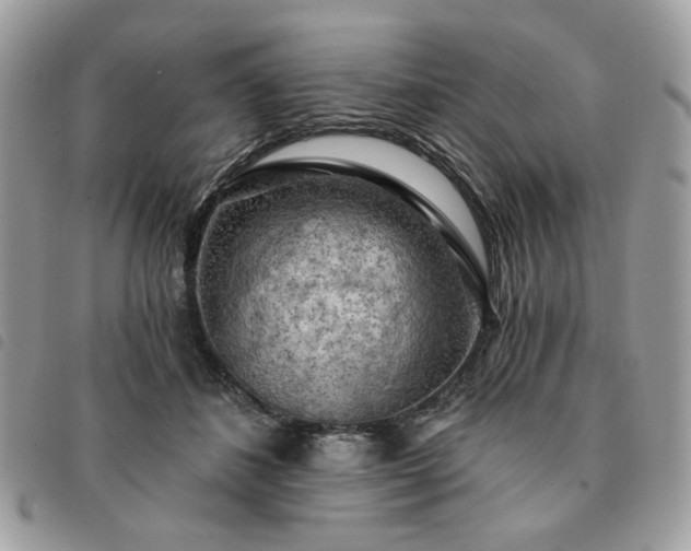 X0000091290508200708171348