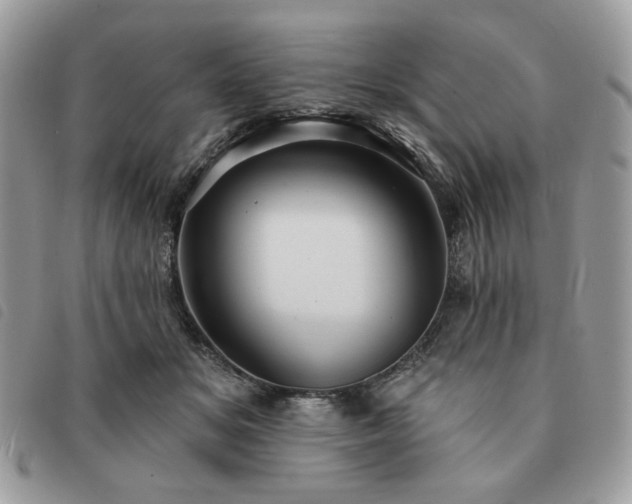 X0000091290509200708171348