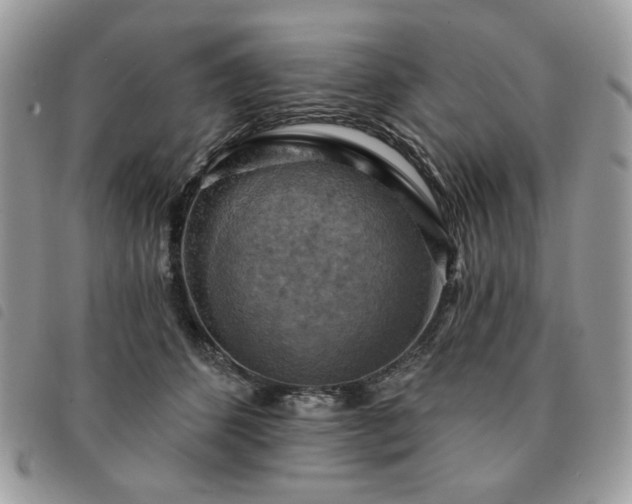 X0000091290512200708171348