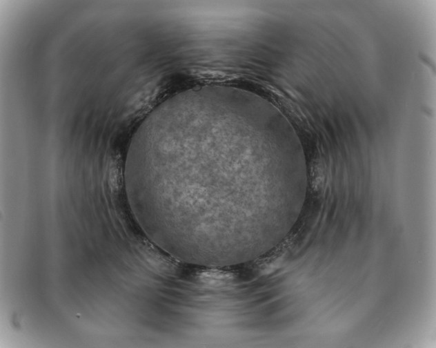 X0000091290515200708171348