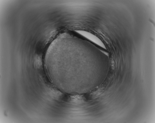 X0000091290516200708171348