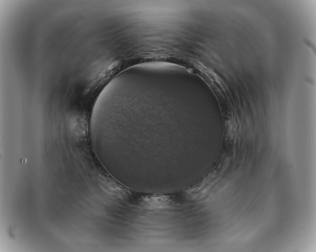 X0000091290517200708171348