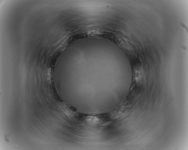 X0000091290519200708171348