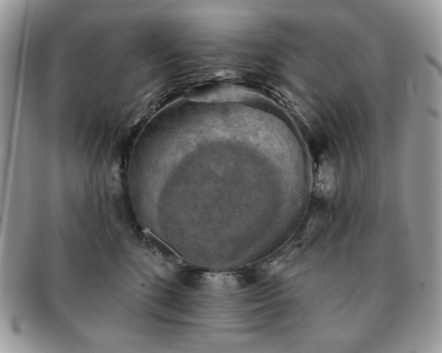 X0000091290520200708171348