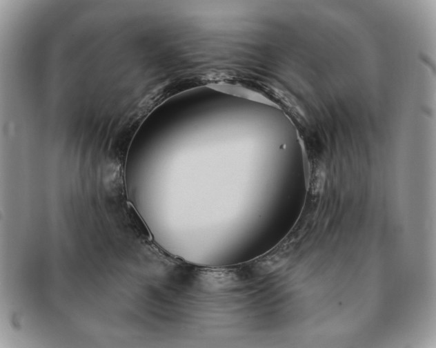 X0000091290521200708171348