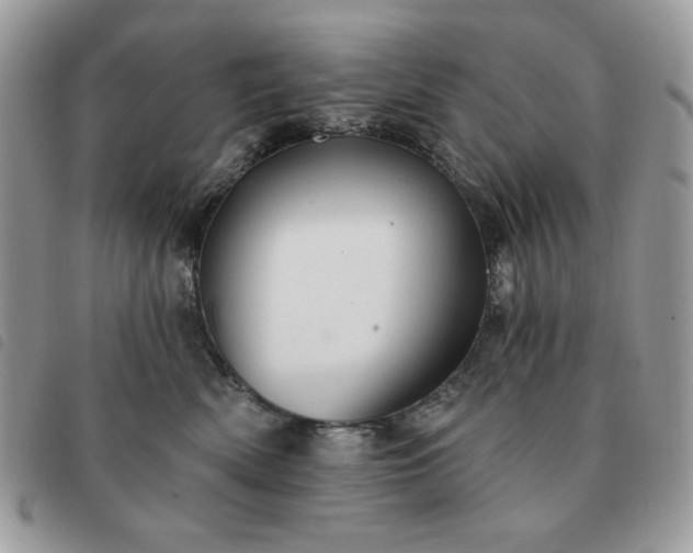 X0000091290522200708171348