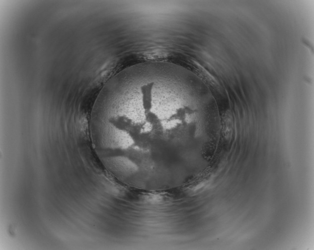 X0000091290523200708171348