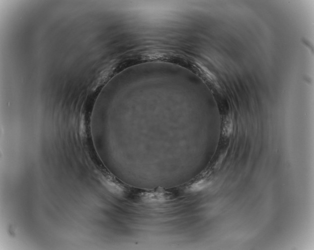 X0000091290524200708171348