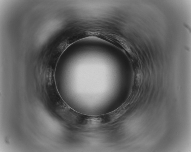 X0000091290525200708171348