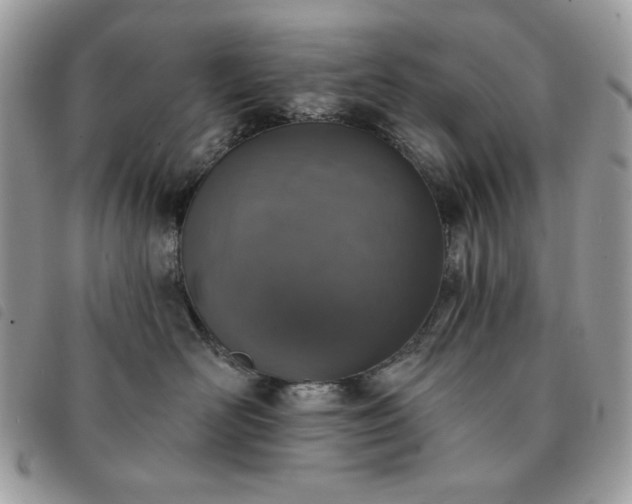 X0000091290526200708171348