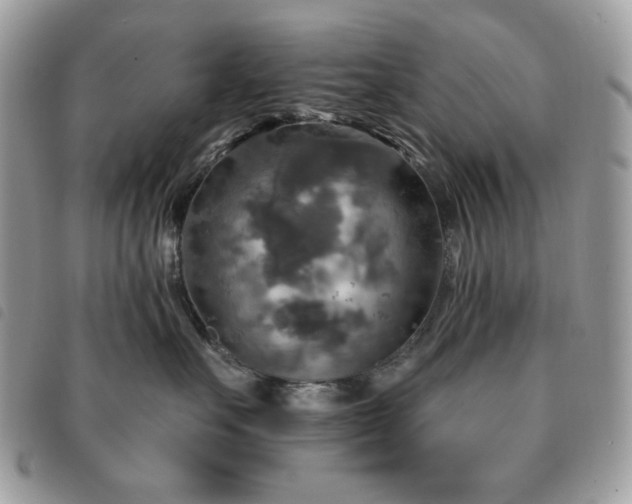 X0000091290527200708171348