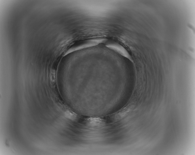 X0000091290528200708171348