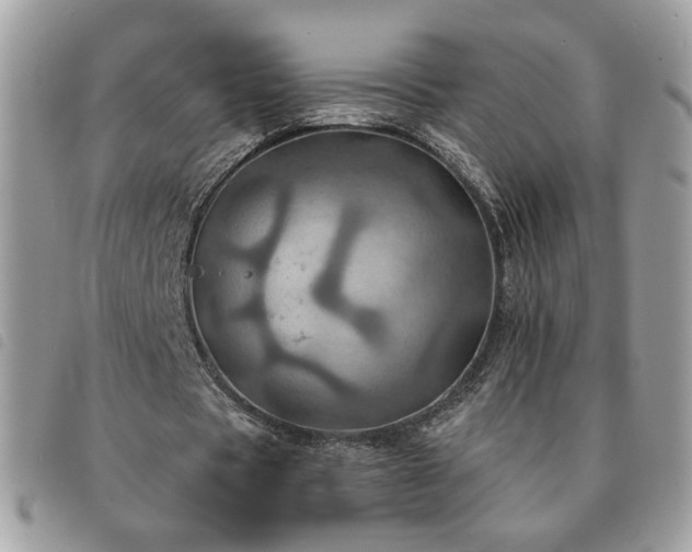 X0000091290529200708171347