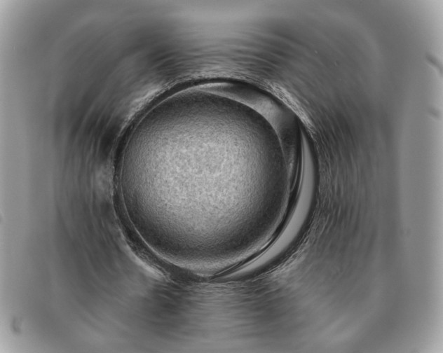 X0000091290530200708171347