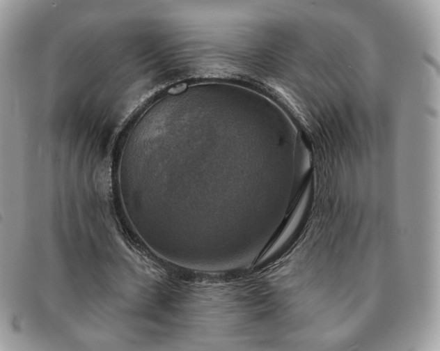 X0000091290531200708171347