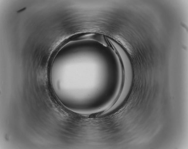 X0000091290532200708171347