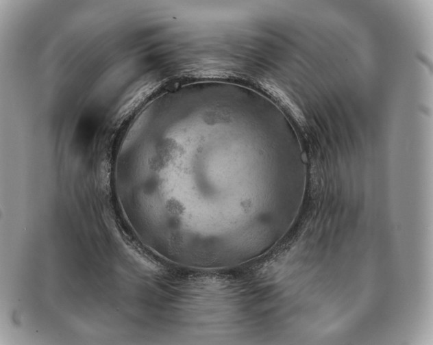 X0000091290533200708171347