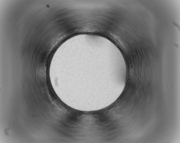 X0000091290534200708171347