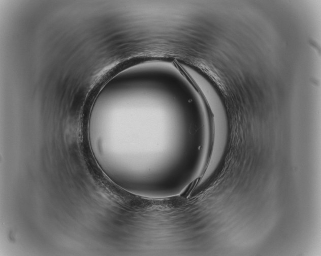 X0000091290536200708171347