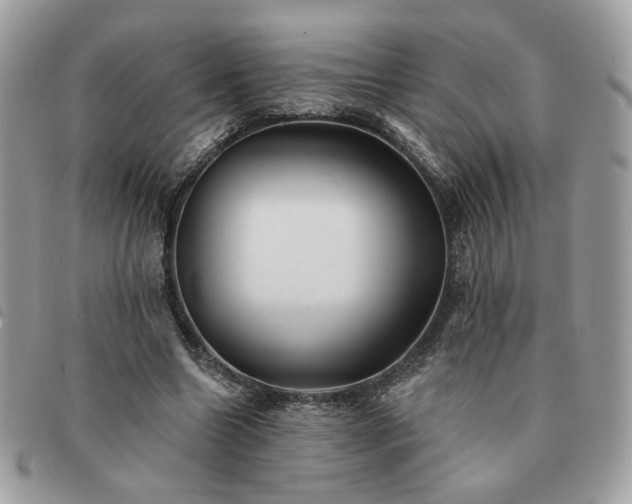 X0000091290538200708171348