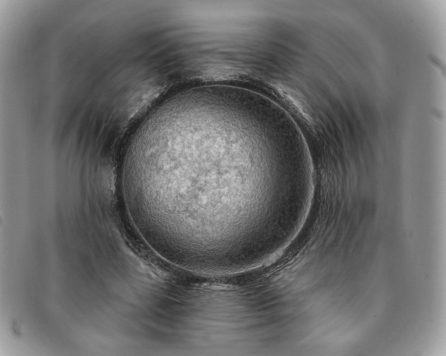 X0000091290539200708171348