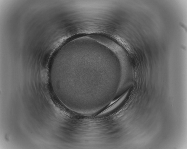 X0000091290540200708171348