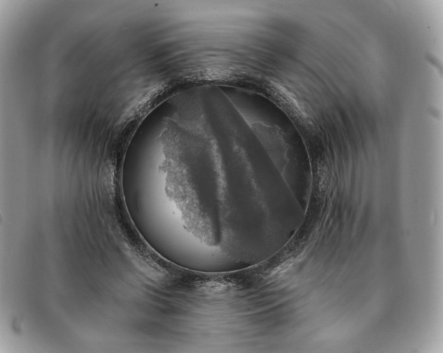 X0000091290542200708171348