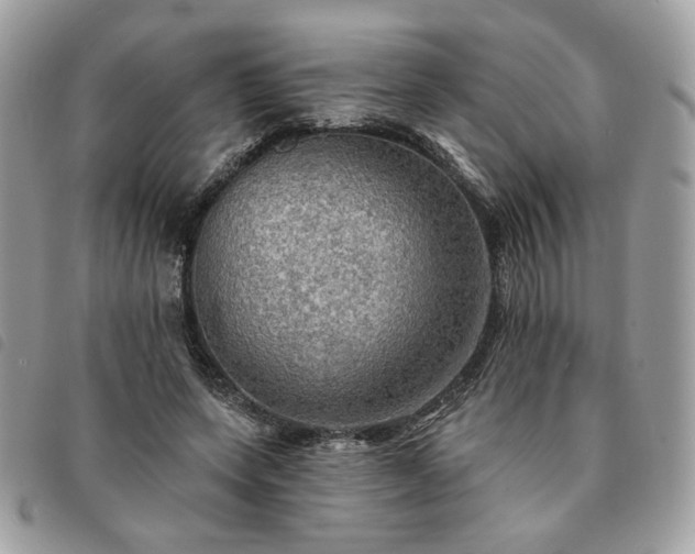 X0000091290543200708171348