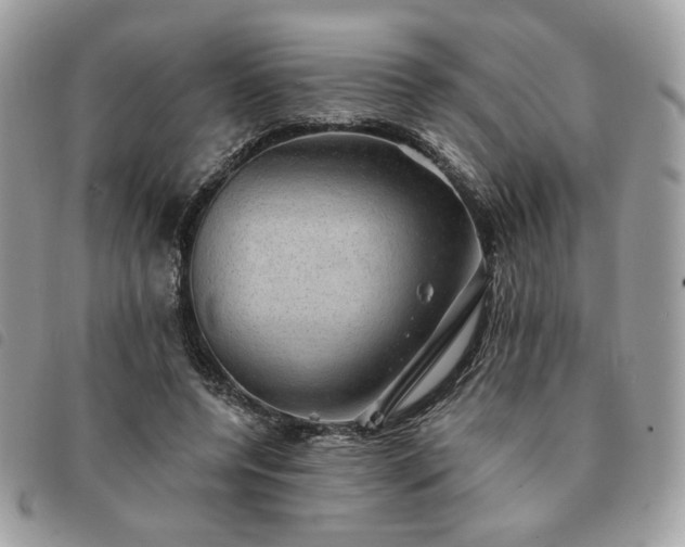 X0000091290544200708171348