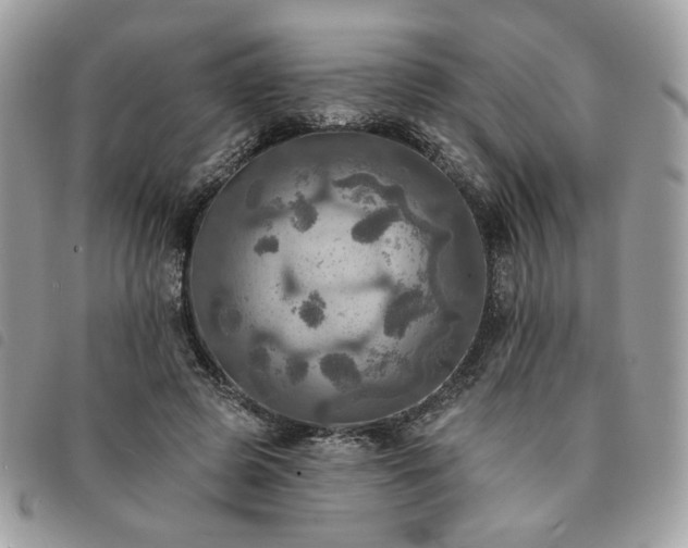 X0000091290545200708171348