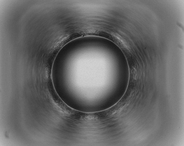 X0000091290546200708171348