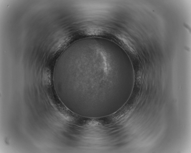 X0000091290547200708171348