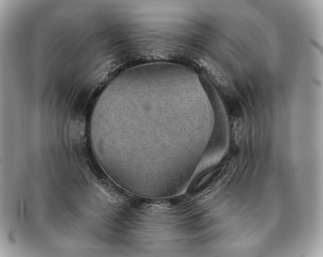 X0000091290548200708171348