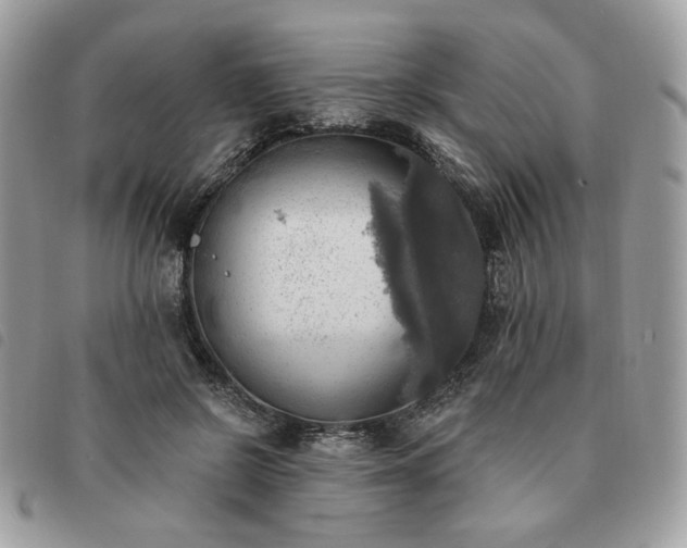 X0000091290550200708171348