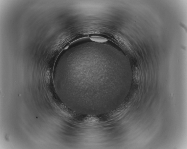 X0000091290551200708171348