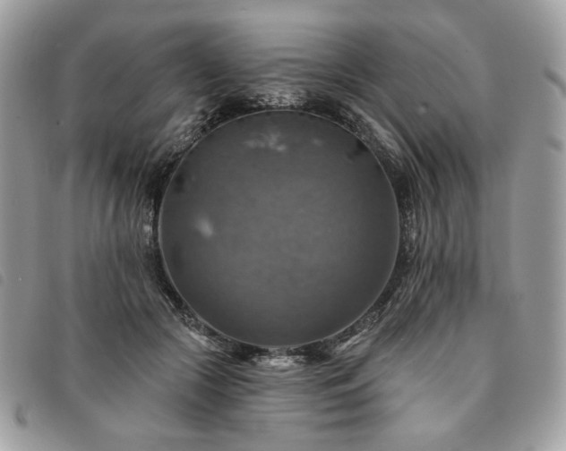 X0000091290553200708171348