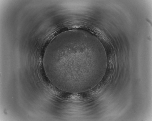 X0000091290555200708171348