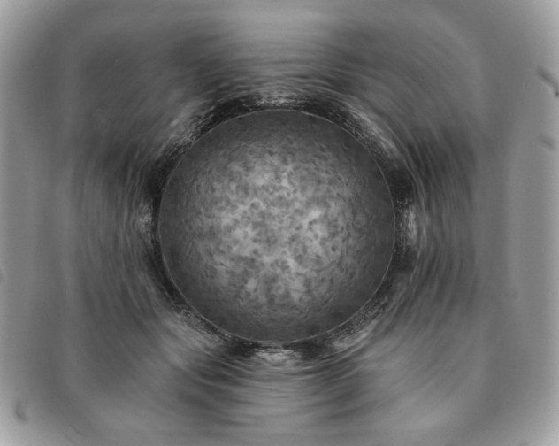 X0000091290557200708171348