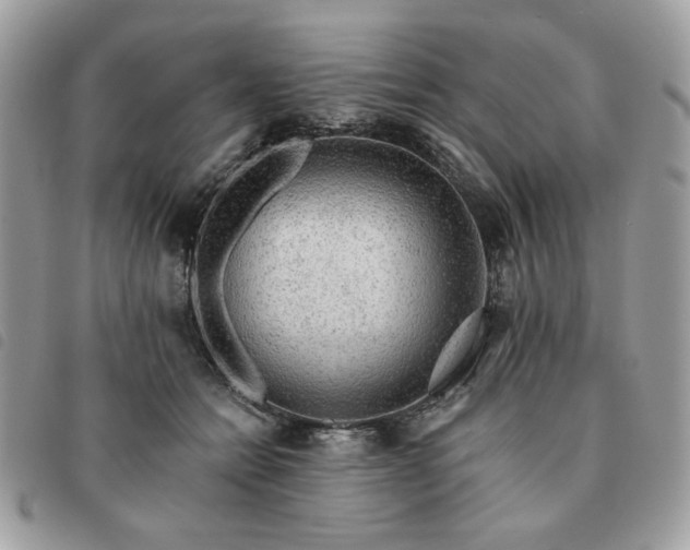 X0000091290558200708171348