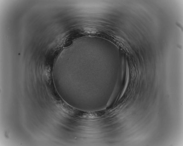 X0000091290559200708171348