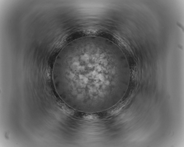 X0000091290561200708171348