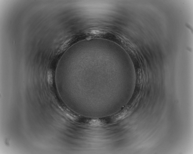 X0000091290562200708171348