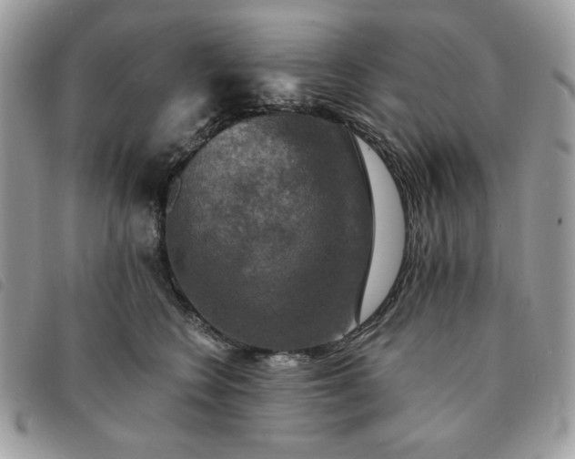 X0000091290566200708171348