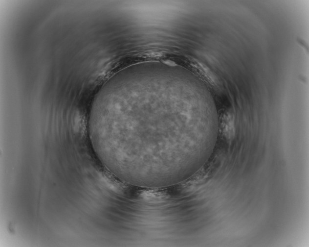 X0000091290568200708171348