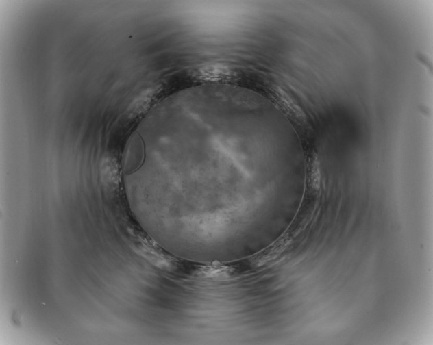 X0000091290569200708171348