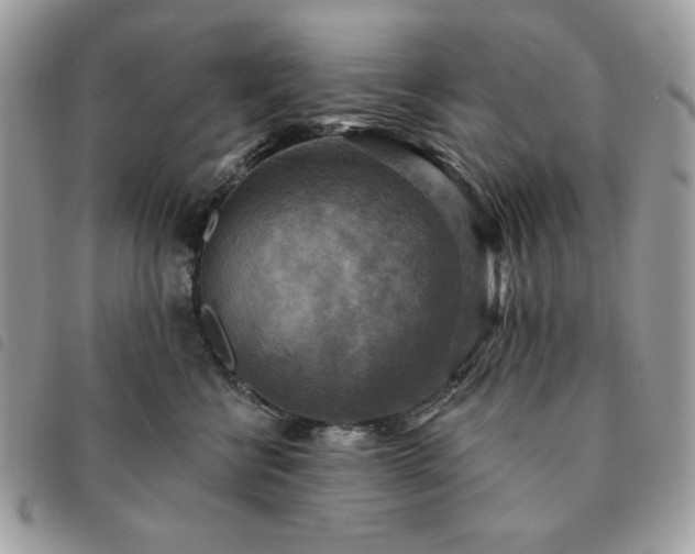 X0000091290570200708171348