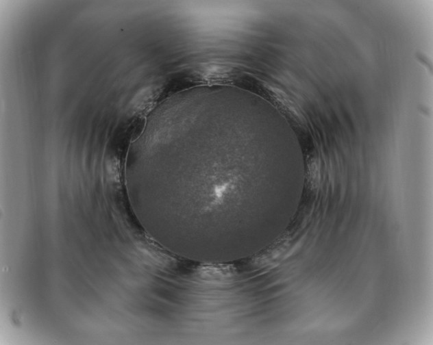 X0000091290571200708171348