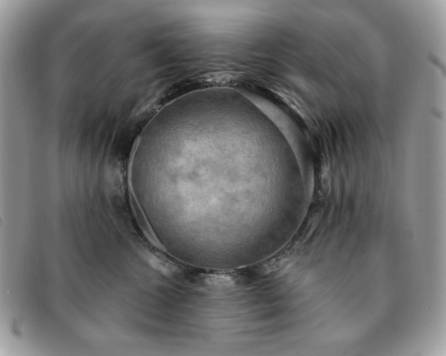 X0000091290572200708171348